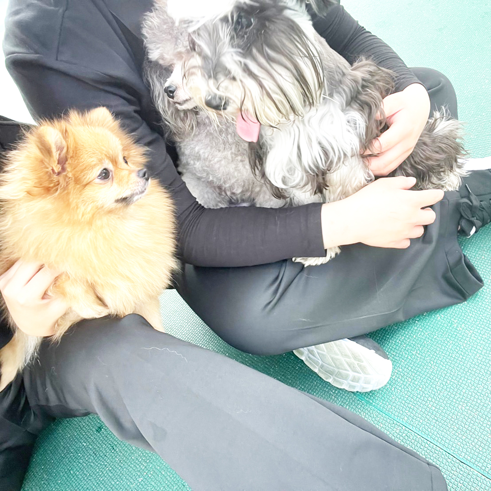 Ｗａｎ活で生徒が撮影した写真♪②